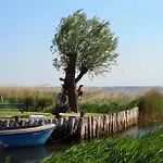 Seeadler زيمبين
