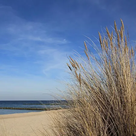 Hotell Seeadler Zempin